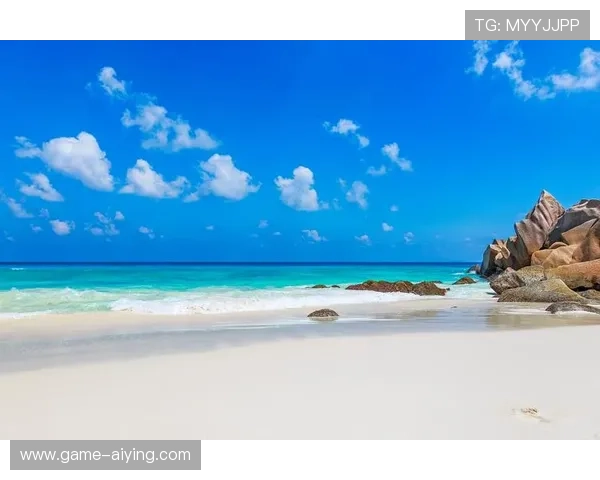 海星手机官网在市场中的竞争优势分析与展望