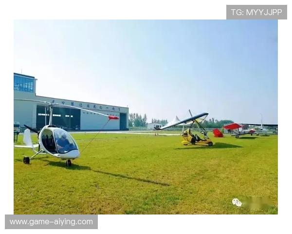 畅享球王会体育登录线路的独特魅力与丰富赛事安排