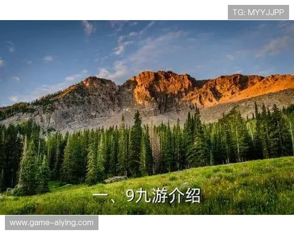 九游会地址最新入口导航,帮助玩家快速登录畅玩游戏体验 九游会地址最新入口导航,帮助玩家快速登录畅玩游戏体验