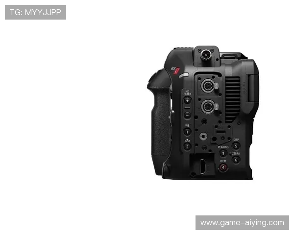 尊龙z6官网入口常见问题解答及安全登录技巧全攻略