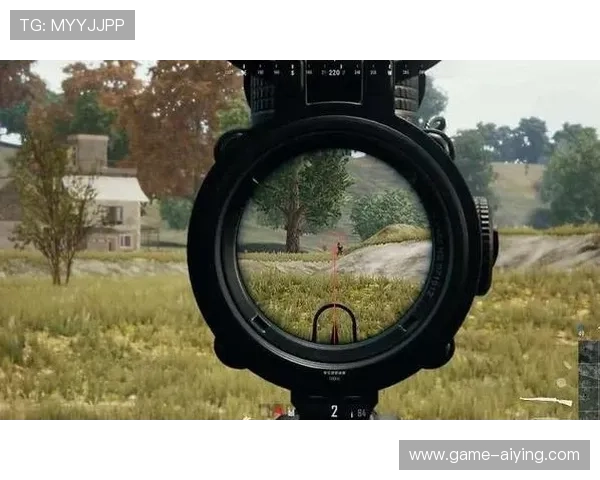 韦德赌博官方平台的游戏攻略与技巧分享，帮助玩家提升胜率实现盈利目标